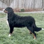 Oehler’s Little Shot of Brandi
