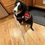 Brandi 4 mos in training