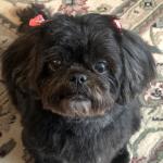 Kacie knows when I am about to react & calms me immediately