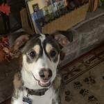 Smokey smiling at me