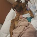 Big Mac at 2 years old