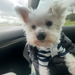 Riding with mama