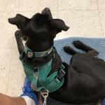 Jasper in trading class