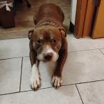 Waiting for  Dad to come out of the bathroom