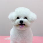 Baby merry grooming