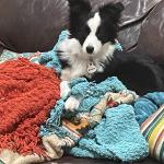 Izzy Service Training