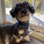 Profile photo of Charlie