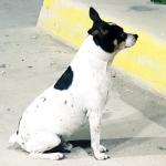 On the job looking for posible trouble