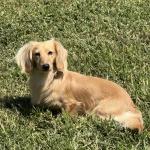 Rio Baby Narbo 2 years