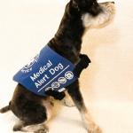 Medial Alert Dog