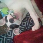 Shay Shay's Baby