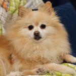 This is my  Luki