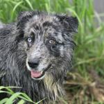 Rhu at the river