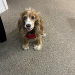 Beautiful and sweet Bella