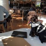 Four Seasons restaurant Montreal