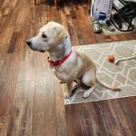 Meg in her new home.