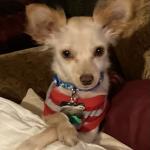 A picture of my heart Joey