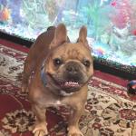 Buster #2 ID PHOTO