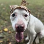 Mr. Ty enjoying the Fall weather