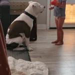 Getting along well with others