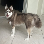 Xena, taken on 8-24-26