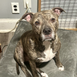 My Baby Boy - Seamus!!!