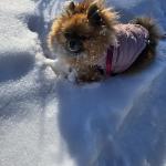 Loving the snow