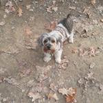 Marley is very special to me