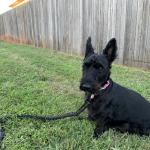 Annabelle is always alert