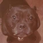 My babygirl who helps me gets through my day