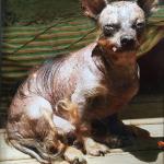 Yoda enjoying sun