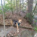 MMS exploring in Kawartha