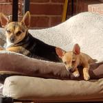 Just Chillin with his brother !