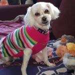 Bella, my whole world