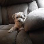 A little rest does him good