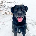 Surj loving the snow