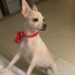 PARIS CHANGE MY LIFE