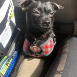 Mochi ESA taking in sun