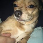 Flirting at his finest