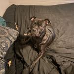 My handsome Kane is growing up