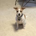 Sophie Marie johnson