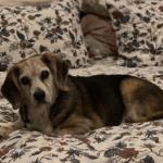 Marty on Bed Waiting