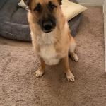 2021 New Year Quarantine friend