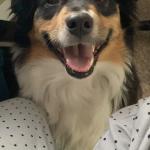 I live for this little smile