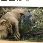 Baby photo at the river