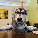 Akira on his 2nd birthday!