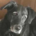 13+ & still being mom’s helper ❤️