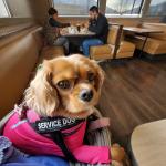 Ruby Jamison working