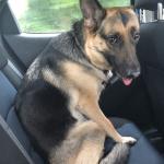 Phoebe Princess Smith