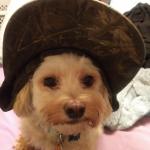 I Love To Cuddle With You!